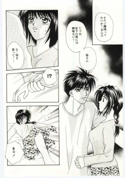 Page 119 of Kinbo Inkan IV