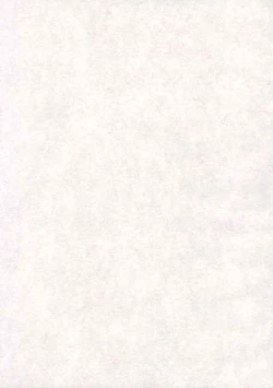 Page 2 of Yoruichi Nyan no Hon 2