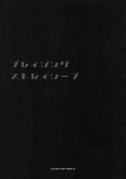 Page 24 of PLAYING STRAY SHEEP