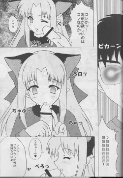Page 20 of Black Cats 14 Hanten Kuroneko Musume