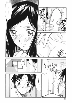 Page 28 of Dakareru Kankei