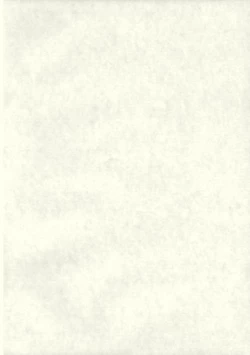 Page 3 of Black Religion