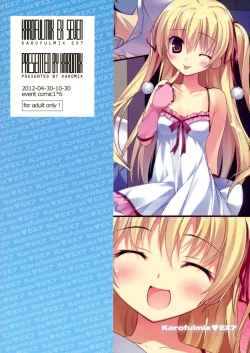 Page 17 of Karofulmix EX7