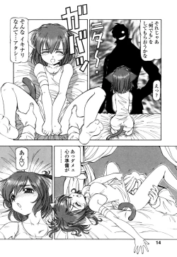 Page 17 of Mesu Neko - Maid Cats Story