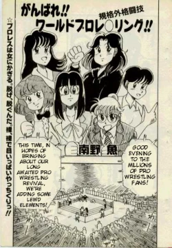 Page 1 of Ganbare! World Pro Wrestling