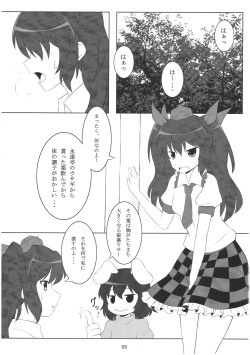 Page 4 of Touhou de Erohon