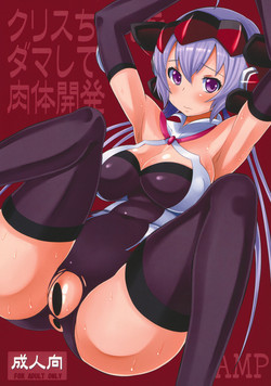 (C82) [AMP (Norakuro Nero)] Chris-chan wo Damashite Nikutai Kaihatsu (Senki Zesshou Symphogear)