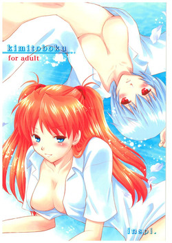 [inspi. (Izumi Rin)] kimitoboku (Neon Genesis Evangelion) [Digital]