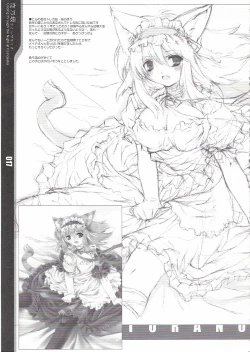 Page 17 of Gliding through the Night at Koinosaka