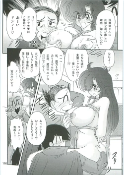 Page 119 of Seirei Tokusou Fairy Saber W Seinaru Mashojo