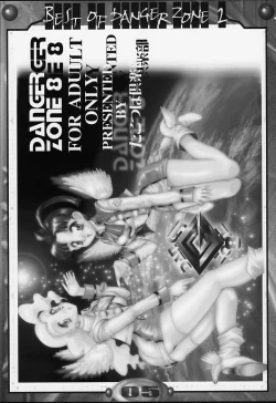 Page 4 of BEST OF DANGER ZONE 02