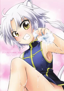 Page 26 of Gaul-denka no Senshou go Houbi