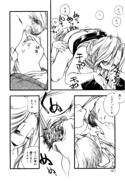 Page 40 of Flower Complex