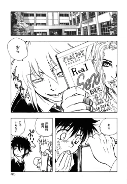 Page 45 of Flower Complex