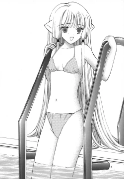 Page 4 of Memory Chips