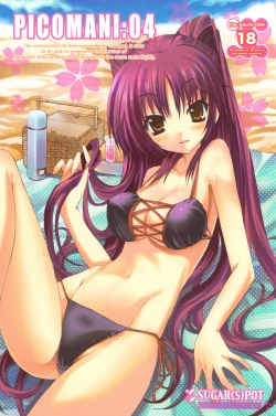 Page 1 of PICOMANI:04