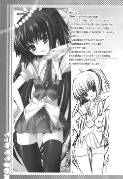 Page 30 of PICOMANI:04