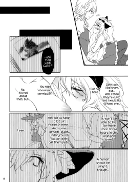 Page 16 of Kore Touhou de Yaru Hitsuyou Naku ne? | Is it really necessary to do this in Touhou