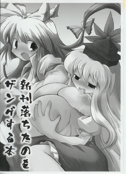 (Komachi 3) [IncluDe (Foolest)] Shinkan Ochita no wo Zange suru Hon (Touhou Project)