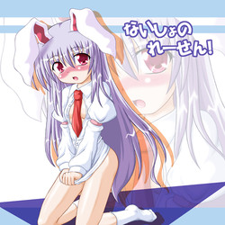 (Ugetsusai) [Schwester (Inasaki Shirau)] Naisho no Reisen (Touhou Project)