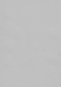 Page 2 of Usa Nyan 2