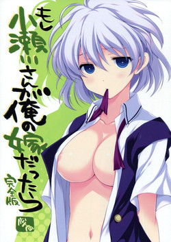 (C82) [VISTA (Odawara Hakone)] Moshi Kosegawa-san ga Ore no Yome dattara Kanzenban (-Saki-)