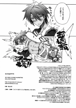 Page 17 of Sakasama evol