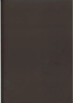 Page 24 of Satori Ecchi