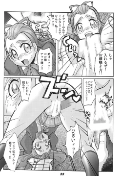 Page 33 of Precure 555