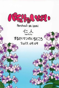 Page 22 of Patchouli ga Ippai