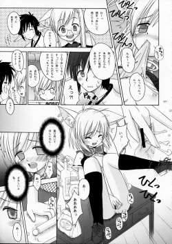 Page 11 of PET BOUNDS