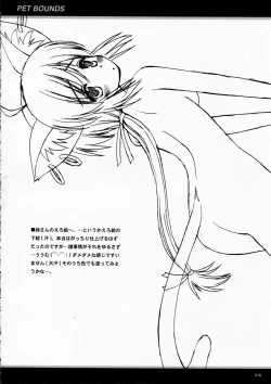 Page 16 of PET BOUNDS