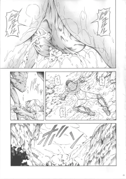 Page 20 of Solo Hunter no Seitai 3