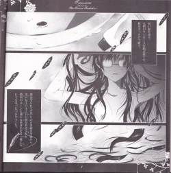 Page 8 of Träumerei