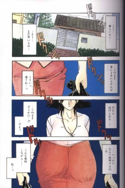 Page 4 of Hiiro no Koku Gekan