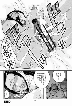 Page 23 of ROBIN SP 2