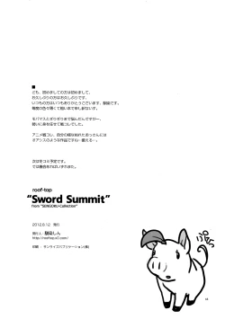 Page 17 of Sword Summit