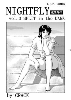 Page 2 of NIGHTFLY vol.3 SPLIT in the DARK