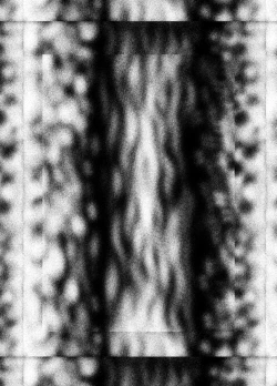 Page 3 of Kunoichi Ninpouchou