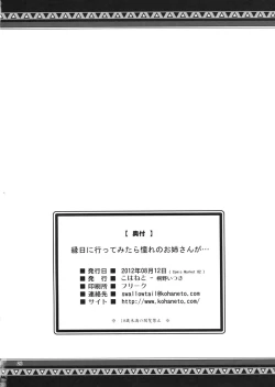 Page 25 of Ennichi ni Ittemitara Akogare no Oneesan ga...