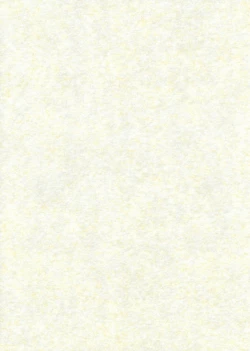 Page 2 of Ali Pro Sono 1 | Alice Pro The First