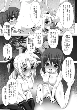 Page 18 of ho tori no raku byou hon vol.01 KANARIA