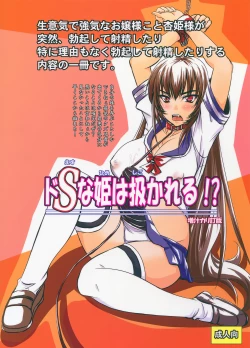 Page 2 of Do-S na Hime wa Shigokareru!?