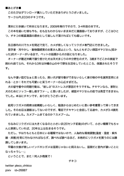 Page 23 of Juukan Auction DL Premium Ban