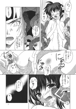 Page 11 of Hagetaka no Kagidume