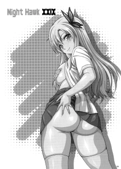 Page 3 of Night Hawk XXIX