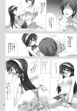 Page 13 of OWNER DRIVER