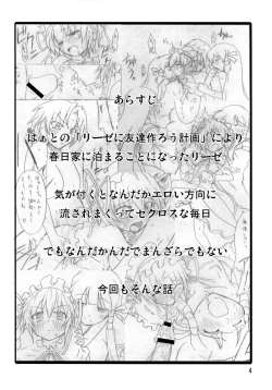 Page 3 of Maoliese Hon