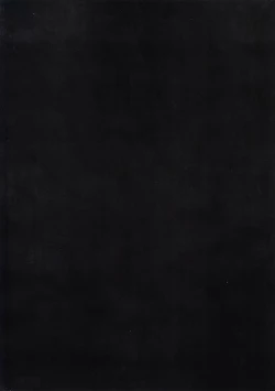 Page 22 of Suikaku Kouji- Black Cat