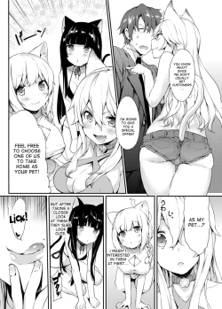 Page 3 of Nyan Nyan Dai Sakusen | Nyan Nyan Operation